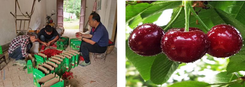 291624931938415733.jpeg 291624931938415733.jpeg