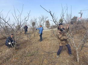 鄉(xiāng)村振興工作動(dòng)態(tài)(第155期)