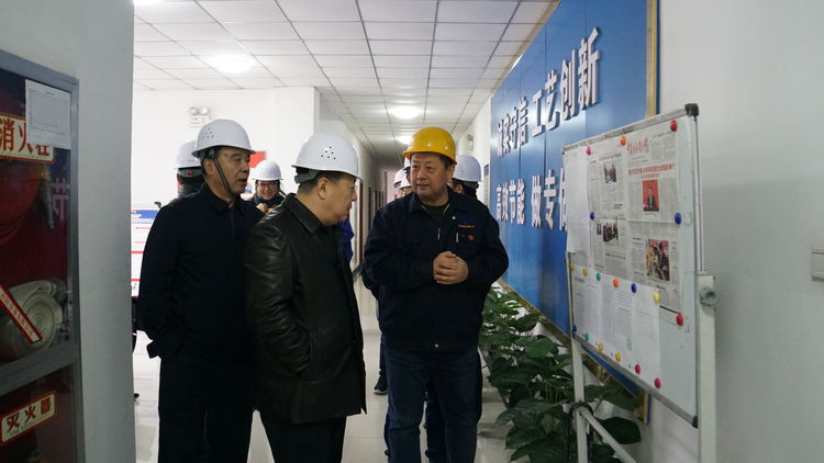 集團領(lǐng)導(dǎo)金輝帶隊赴標(biāo)準(zhǔn)電梯、標(biāo)準(zhǔn)熱處理進(jìn)行工作調(diào)研